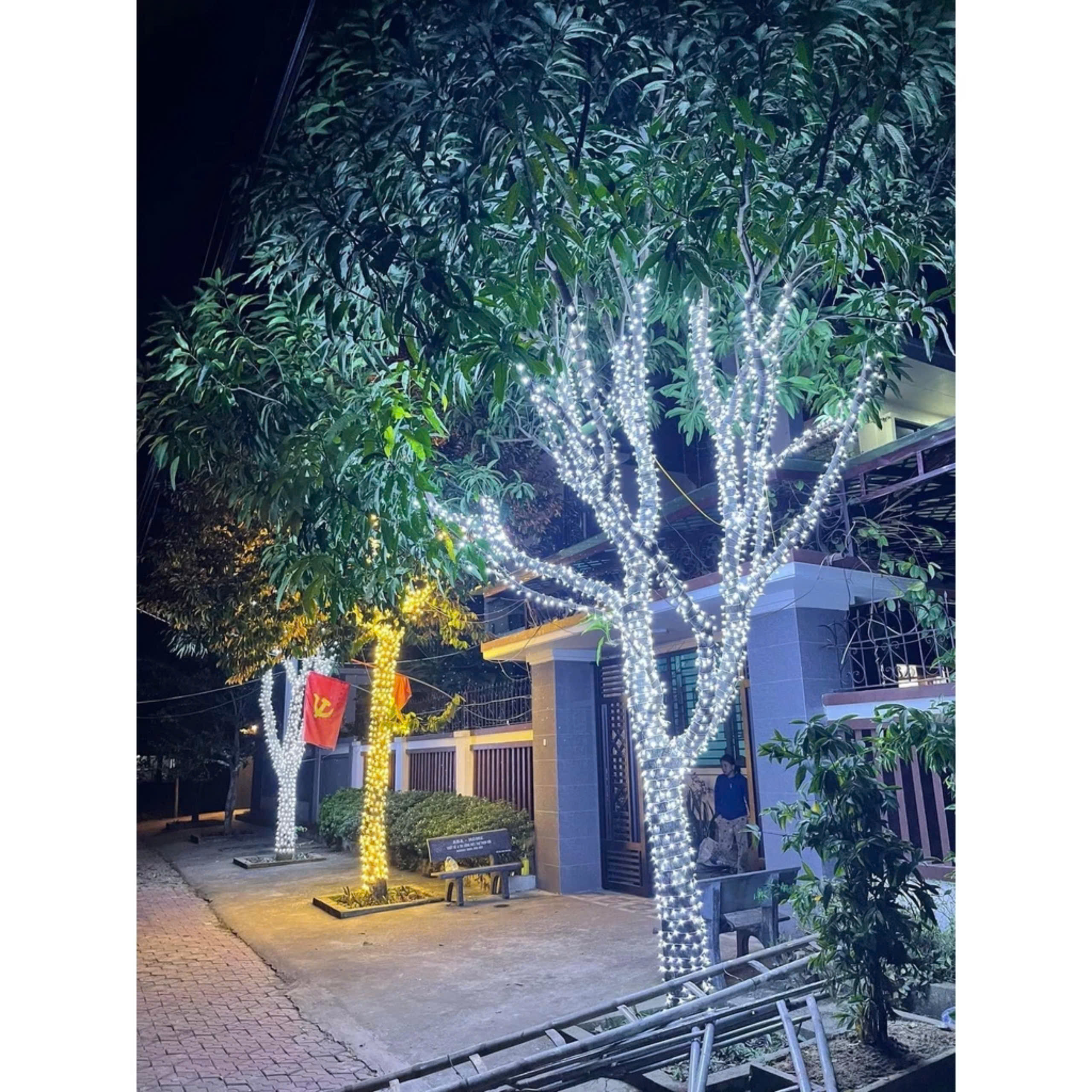 trang-tri-den-led-mat-tien