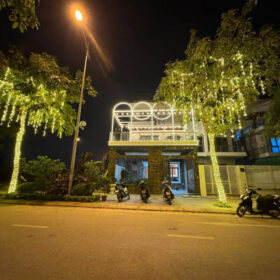 trang-tri-den-led-mat-tien