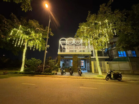 trang-tri-den-led-mat-tien