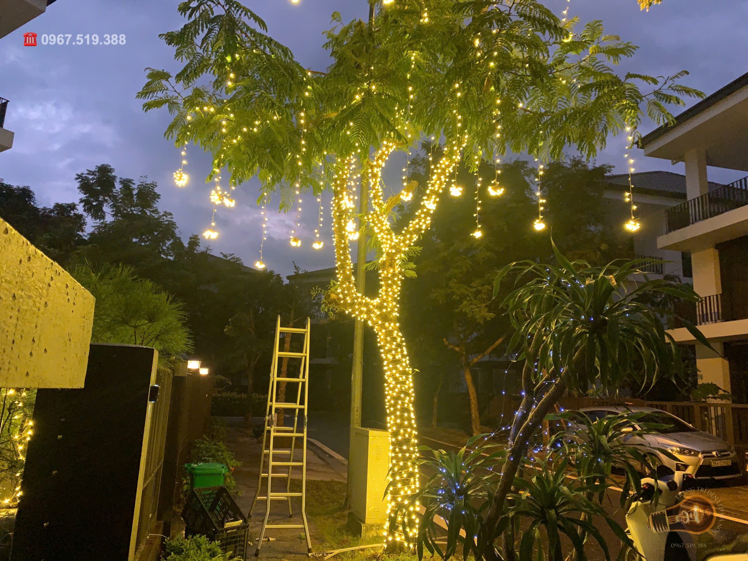 lap-den-cay-xanh-cuon-cay