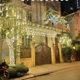 loi-ich-cua-viec-lap-dat-den-led-cho-cay-xanh-va-mat-tien-nha